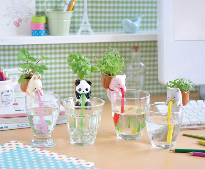 SelfWateringPlanter2